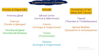 Classification of Hormones Chapter 75 part 2 Guyton and Hall Physiology [upl. by Neill]