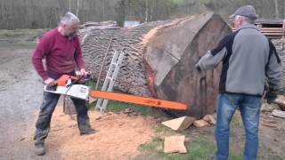 Stihl ms 880 150cm vs big oak log [upl. by Howarth482]