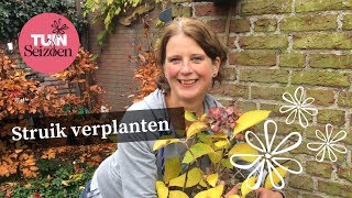 Struik verplanten  Tuinseizoen [upl. by Filberte507]