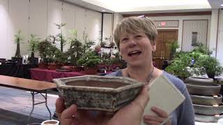 Bonsai On The Bayou ABS 2019 Houston Texas  Day 1 Vendor Setup [upl. by Meelak466]