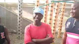 Aquaponics Systems Tour In Kenya [upl. by Eliathan225]