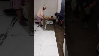 floor tile fittings 2×4shortsfeed shorts [upl. by Ynaffad]