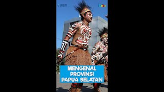 Mengenal Provinsi Papua Selatan Shorts [upl. by Haynes]