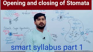 144 Opening and Closing of Stomata  Structure and Functions of Stomata Fsc Biology 11 [upl. by Eytak188]