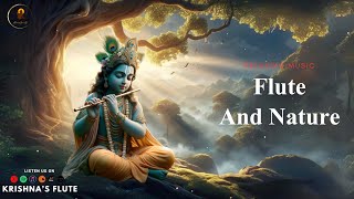 Krishnas Flute Music  Morning Deep Relaxing Music Stress Relief Study Calming Music 2465 [upl. by Broida]