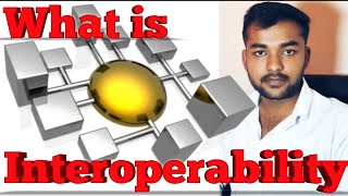 What is Interoperability Meaning Detail and Explanation In Hindi [upl. by Ittap]