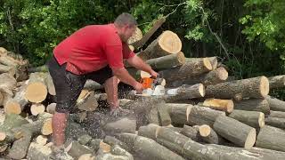 🪚🪚🌳🌳🔥🔥 STIHL MS 361 vs STIHL MS 462 CM 🌳🔥 Best chainsaw for cutting firewood 🪵 [upl. by Virnelli173]