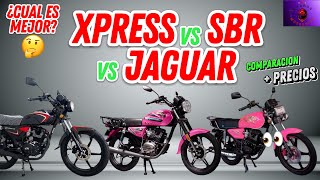 Ek Xpress vs Bera SBR vs AVA Jaguar ¿Cuál es mejor 🤔 Comparación  Precios [upl. by Namus]