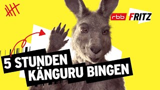 Alle Folgen von Neues vom Känguru reloaded  5 Stunden  MarcUwe Kling  KänguruChronikenStorys [upl. by Now]