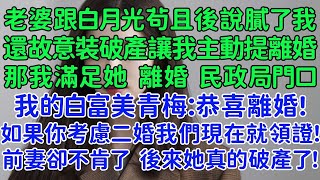 老婆跟白月光茍且後說跟我膩了，還故意裝破產讓我主動提離婚。那我滿足她，離婚！民政局門口，我的白富美青梅：恭喜啊 如果你考慮二婚我們現在就進去領證！可前妻卻死活不同意了，後來她真的破產了！ [upl. by Maguire]