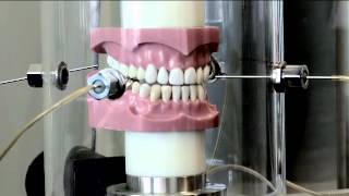 Dental Chewing Machine [upl. by Eilyak213]