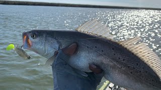 Kayak Fishing for Speckled Trout and Redfish  Texas Bayou Fishing [upl. by Yereffej]