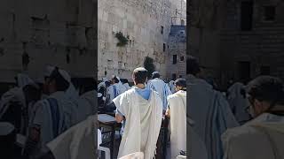 The Wailing Wall Jerusalem [upl. by Budge]