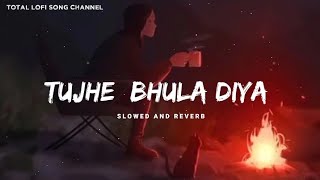 Har Pal Har Lamha Main Kaise Sehta Hoon  Lofi  Tujhe Bhula Diya  Mohit Chauhan  Total Lofi Song [upl. by Elleinaj]