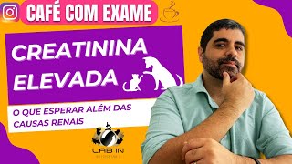 CREATININA ELEVADA EM CÃES E GATOS O QUE ESPERAR ALÉM DAS CAUSAS NÃO RENAIS [upl. by Shantha]