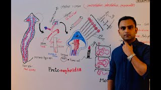 Endoplasmic reticulum amp Lysosome এন্ডোপ্লাজমিক জালিকা ও লাইসোসোম  Dr Razib Hossain Sarkar [upl. by Azelea823]