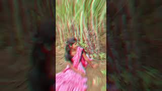 ♥️🥰🥰🥰✌️rupali avinash shortvideos [upl. by Kehsihba72]