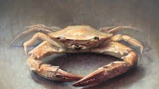 Crab [upl. by Noryv]