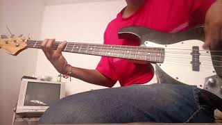 Breaking the Girl  Red Hot Chili Peppers  Bass cover [upl. by Isabella]