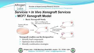 Altogen Labs MCF7 Xenograft Service Breast Cancer [upl. by Berni]