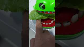 asmr frog eating lettuce youtubeshortsviral trendingvideo asmrsounds [upl. by Attenrev]