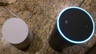 Alexa Amazon Echo and Google Home infinite loop conversation [upl. by Darrill]