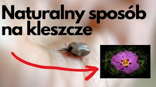 Naturalny sposób na kleszcze [upl. by Toogood]