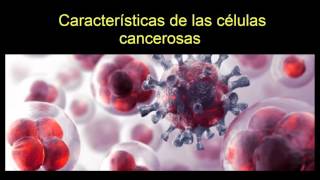 Características de las células cancerosas [upl. by Attenaz]