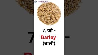 Pulses amp Grains Name Hindi and English 🌽🍚 Cereals and Pulses  Learn English daily grains english [upl. by Sheba]