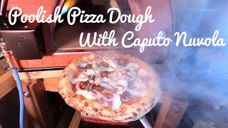 Poolish Pizza Dough With Caputo Nuvola [upl. by Anilesor704]