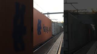 Class 66 168 trainspotteruk shortvideos trainspotter viralvideos class66 [upl. by Danzig]