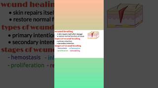 Wound healing types of wound healing stages of wound healing medical shorts pharmacology shorts [upl. by Narat942]