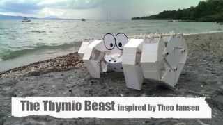 Thymio beast [upl. by Claresta23]