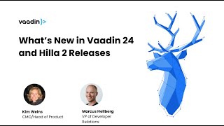 Webinar Whats new in Vaadin 24 and Hilla 2 releases [upl. by Mandal]