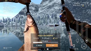 Unique Lake Whitefish  White Moose Lake  Fishing Planet [upl. by Tyra]