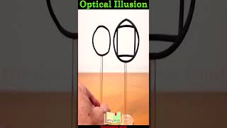 Optical Illusion [upl. by Newel]