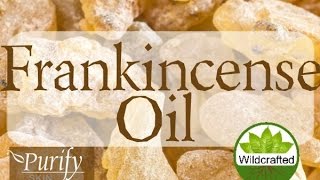 Frankincense Essential Oil  All You Need To Know [upl. by Meadows]