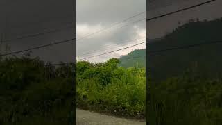 song music bollywood newsong movie nitarunachalpradesh train kaziranganationalpark arunacha [upl. by Rudy]