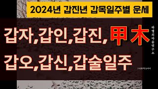 2024년 운세 갑목일주 운세 갑진년 갑목일주 운세 갑자일주 갑인일주 갑진일주 갑오일주 갑신일주 갑술일주 2024 [upl. by Enyawad72]