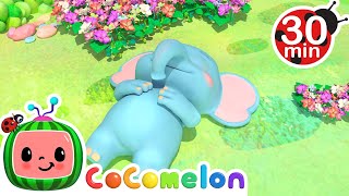 Elephant takes a nap  CoComelon Nursery Rhymes amp Kids Songs [upl. by Aihpos]