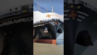 Ship Container Unloading at Qict  shorts trending video short viralvideo vlog tiktok smk [upl. by Elleirb]