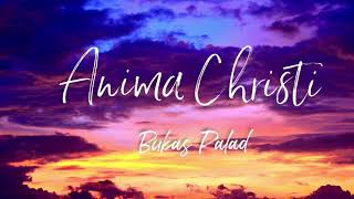 Bukas Palad Anima Christi lyrics [upl. by Atiek942]