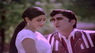 Panchami Poota Manchidhani Video Song  Sriranganeetulu Movie  ANRSridevi [upl. by Imhsar]