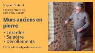 Mur en pierre enduit intérieur lézardes fissures salpêtre joints qui se décollent analyse [upl. by Gnuj]