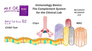 Complement System for the Clinical Laboratory [upl. by Daly158]