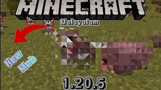 Exploring New update 1205 in Minecraft Malayalam [upl. by Fu800]