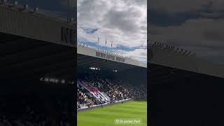 Beautiful NewCastle Fan Celebration 🏟️⚽️ St James Park 🖤 NewCastle 1x 1 City Premier League [upl. by Wilburt]