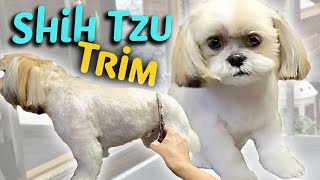 NEW Way to GROOM your SHIH TZU STEP by STEP INSTRUCTIONS [upl. by Dedra]