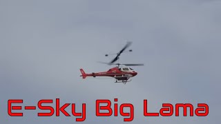 RC Helicopter Esky Big Lama [upl. by Giuseppe656]