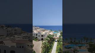 Continental Plaza Beach Resort SharmelSheikh 2024 [upl. by Namdor331]